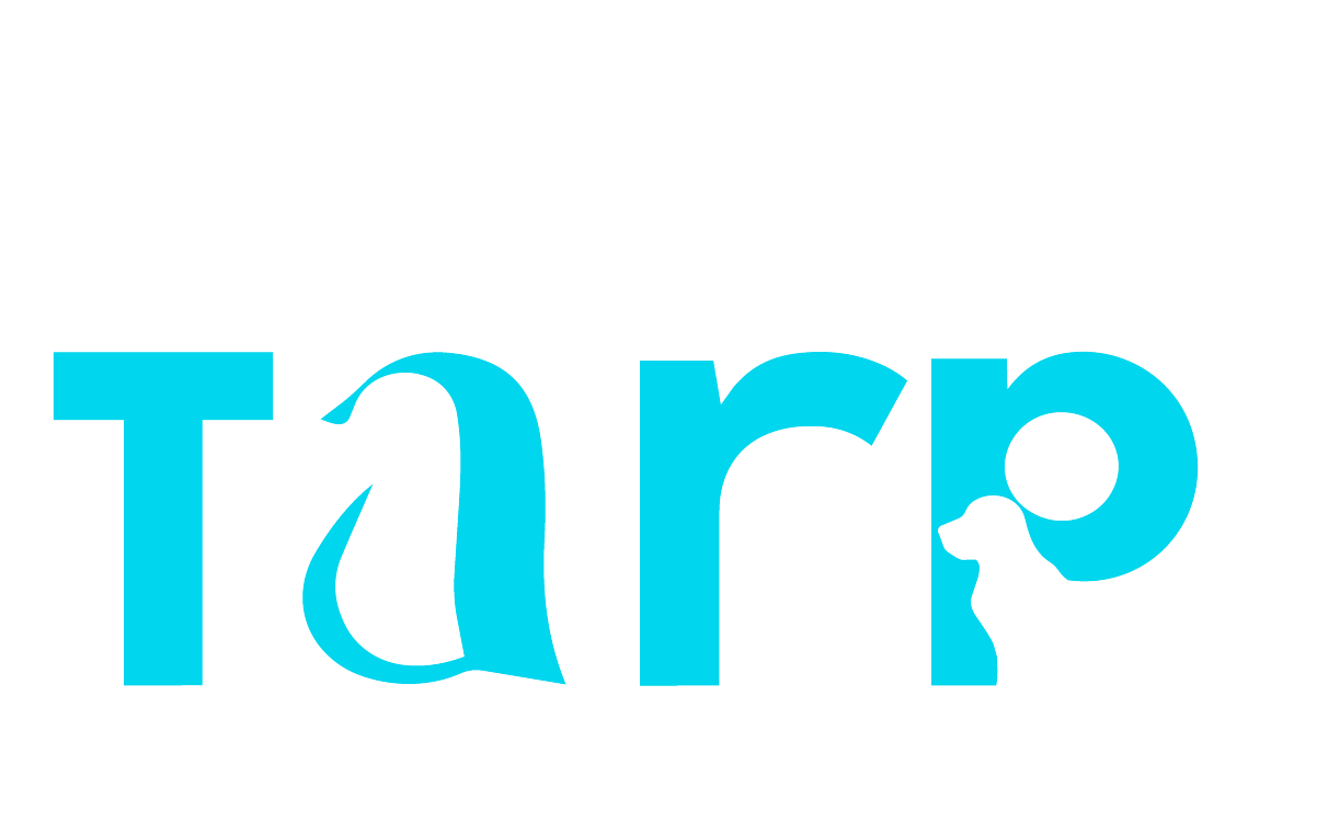 tarp
